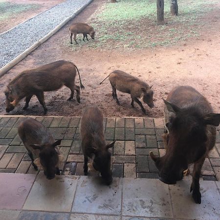Makhato Bush Lodge 111 เบอลา-เบอลา ภายนอก รูปภาพ