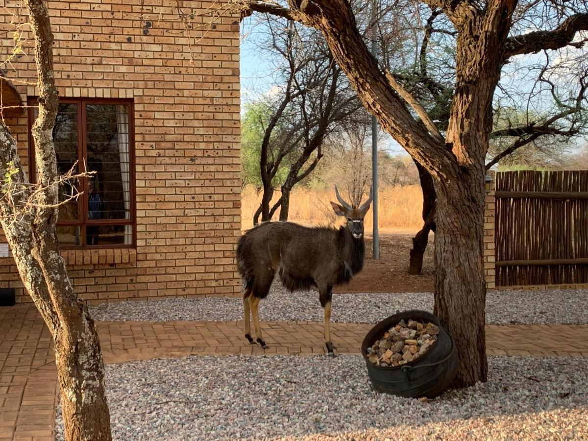 Makhato Bush Lodge 111 เบอลา-เบอลา ภายนอก รูปภาพ